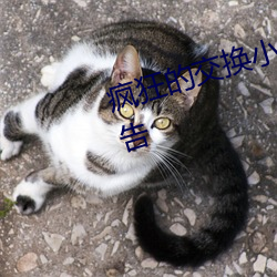 瘋狂的交換小靜小雅小姿章節無廣告