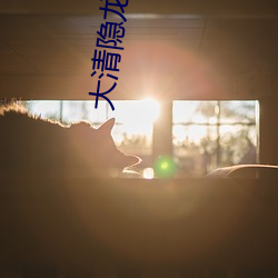 大清隱龍