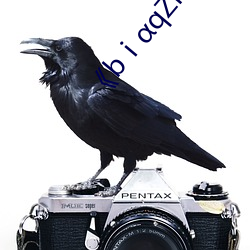 《bⅰqZl