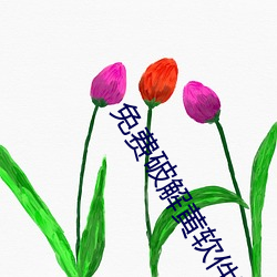 免费破(pò)解黄(huáng)软件下载(zài)