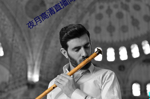 夜月高(gāo)清(qīng)直播间