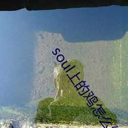 soul上的鸡怎么约