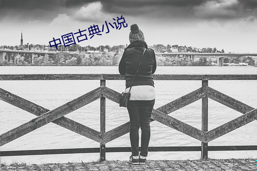 中国古典小(xiǎo)说