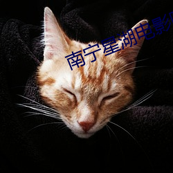 南宁星湖电(電)影院
