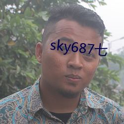 sky687