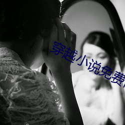 穿越小说免(miǎn)费(fèi)阅读