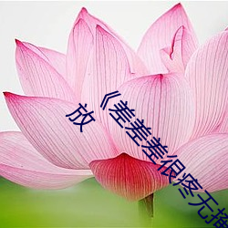 《差差差很疼(téng)无掩(yǎn)盖30秒视频ll》 手(shǒu)机在线免费播放