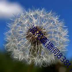 尊龙凯时人生就是搏(中国区)官方网站