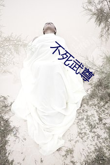 不死武尊 （人事不省）