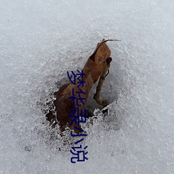 夢華錄小說