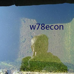 w78econ