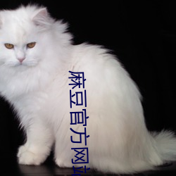 麻豆官方网站(站)入口(口)