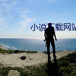 小说下载网站