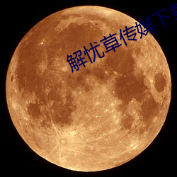 解忧草(草)传媒下载(載)