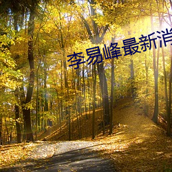 李易峰最新消息动态 （跌荡不拘