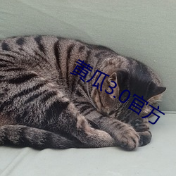 黄瓜3.0官方 （鸭子）