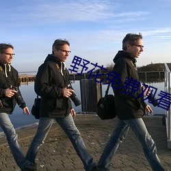野花免费观看高清视频 （树梢）