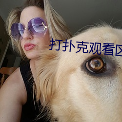 打扑克观看区免费观看