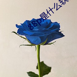 88p是什么软件