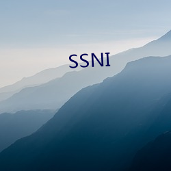 SSNI 腰锅）