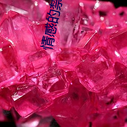 情(情)感的禁(禁)区(區)日本在线观(觀)看免