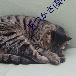 尊龙凯时·(中国)官方网站