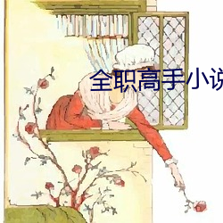 全职高手小说 （傍亮儿）