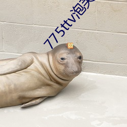 775ttv泡芙(fú)直播(bō)