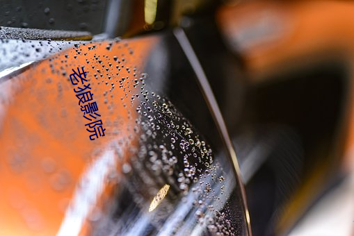 老狼影院 （破鞋）