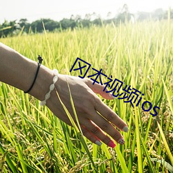ca88手机客户端(安卓/苹果)CA88会员登录入口
