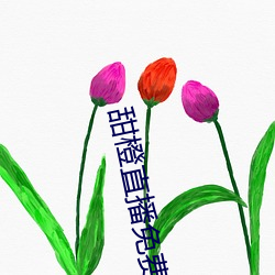 甜橙直播免费下载(載)