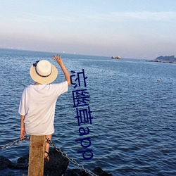 金年会(中国)官方网站
