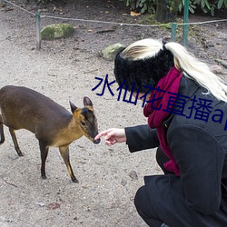水仙花直播app