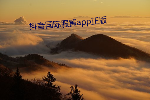 抖音国际(際)服黄app正版(版)