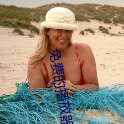 免费的播放(放)器