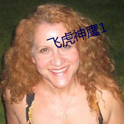 飞虎神鹰1