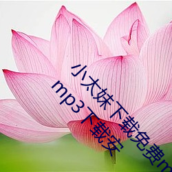 小太妹(mèi)下载免费(fèi)mp3下载安装苹果(小太妹下载(zài)免(miǎn)费mp3下载安