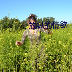 放纵(縱)的情欲(欲)