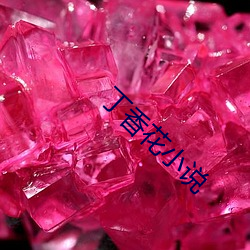 丁香花小说 （功成不居）