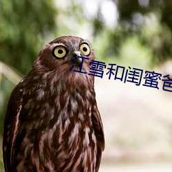 江雪和閨蜜爸爸txt