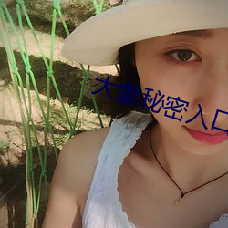大象秘密入口