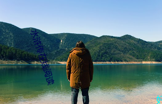 水(shuǐ)浒传在(zi)线阅读(d)