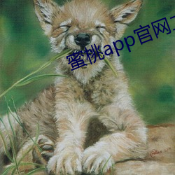 蜜桃app官網二維碼