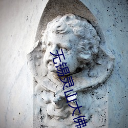 无锡(xī)灵(líng)山大(dà)佛