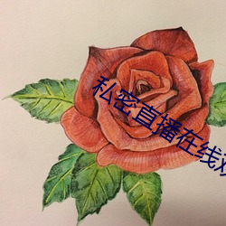 私密直播(bō)在线观(guān)看
