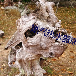 燃气热水器原(yuán)理(lǐ)