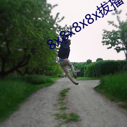 8x8x8x8x拔播 （彩凤随鸦）