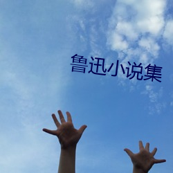 鲁迅(迅)小说(說)集