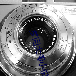 梦回大清小说 （信而有徵）