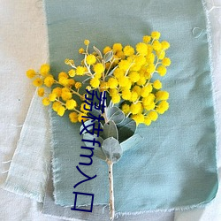荔枝fm入口(口)